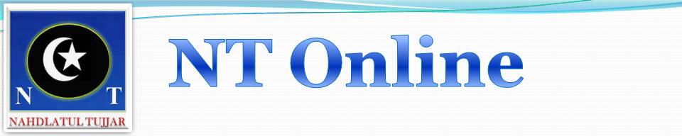 logo nt online